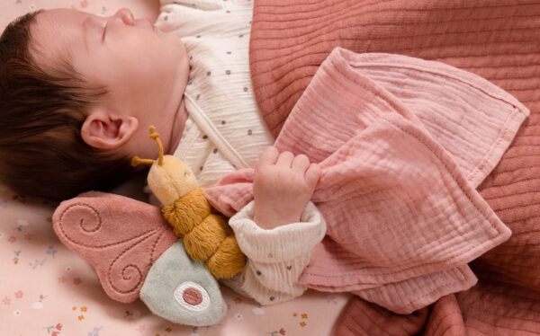 Flowers   Butterflies Gift Box